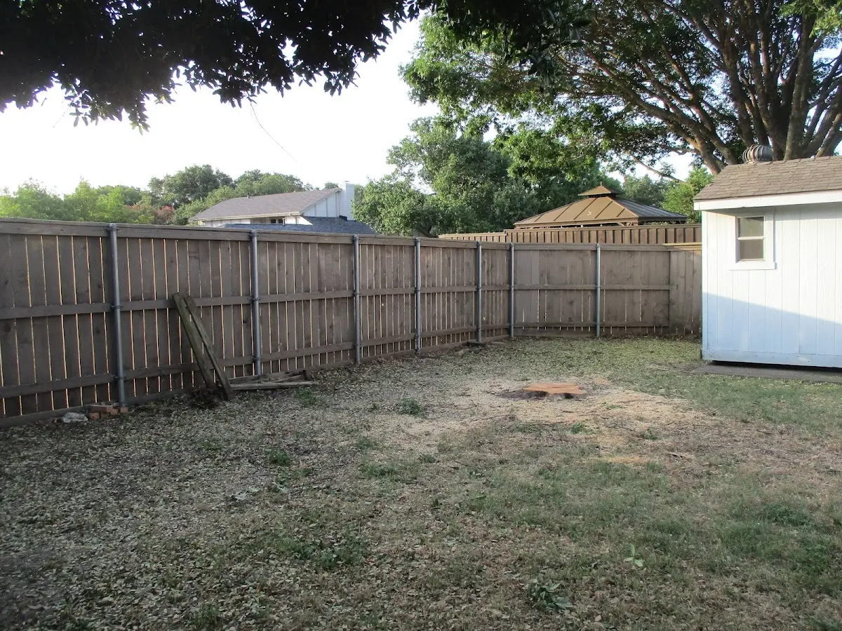 Cleared yard after professional tree removal in Chestnut Mound