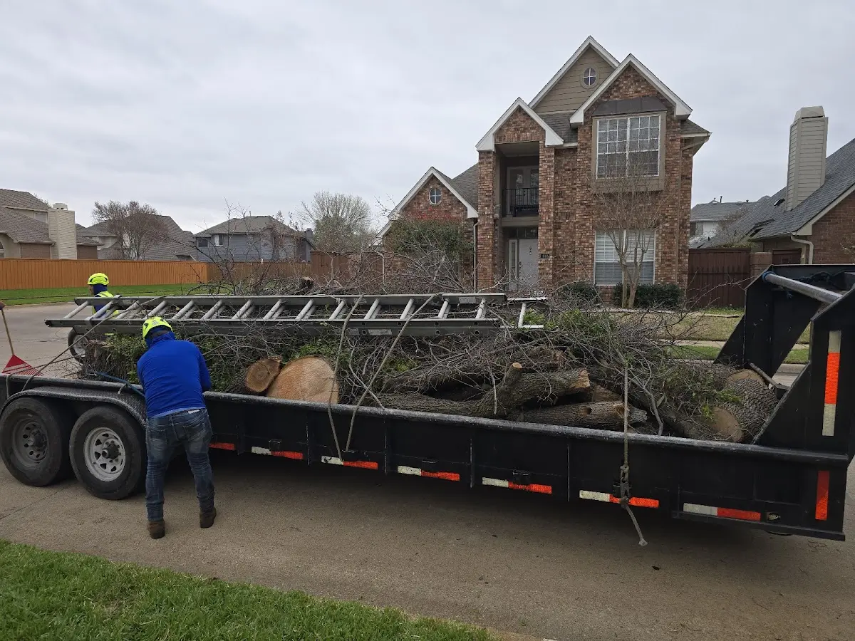 Expert Tree Pest Control with proper safety equipment in Chestnut Mound